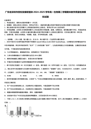 广东省深圳市四校发展联盟体2024-2025学年高一生物第二学期期末教学质量检测模拟试题含解析