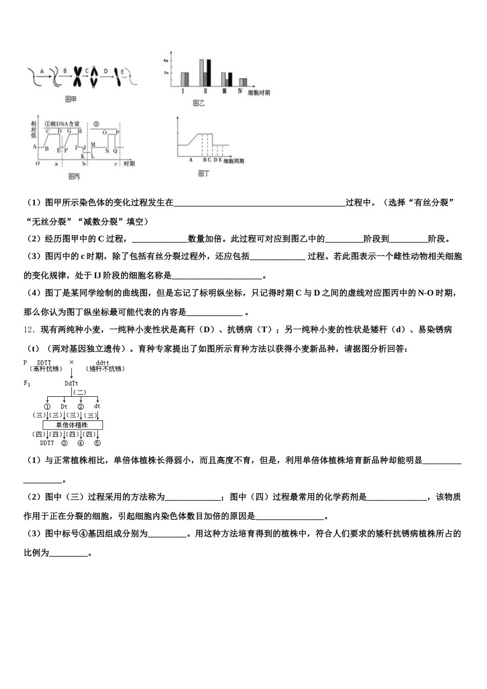 广东广州市增城区2025届高一下生物期末统考模拟试题含解析_第3页