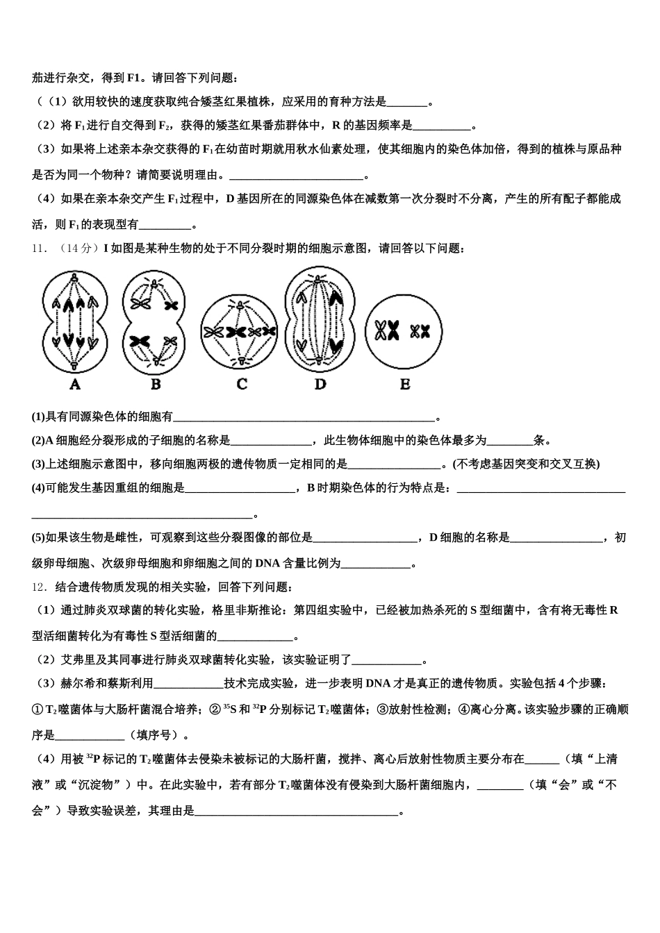 广州市番禺区2025届高一生物第二学期期末统考模拟试题含解析_第3页