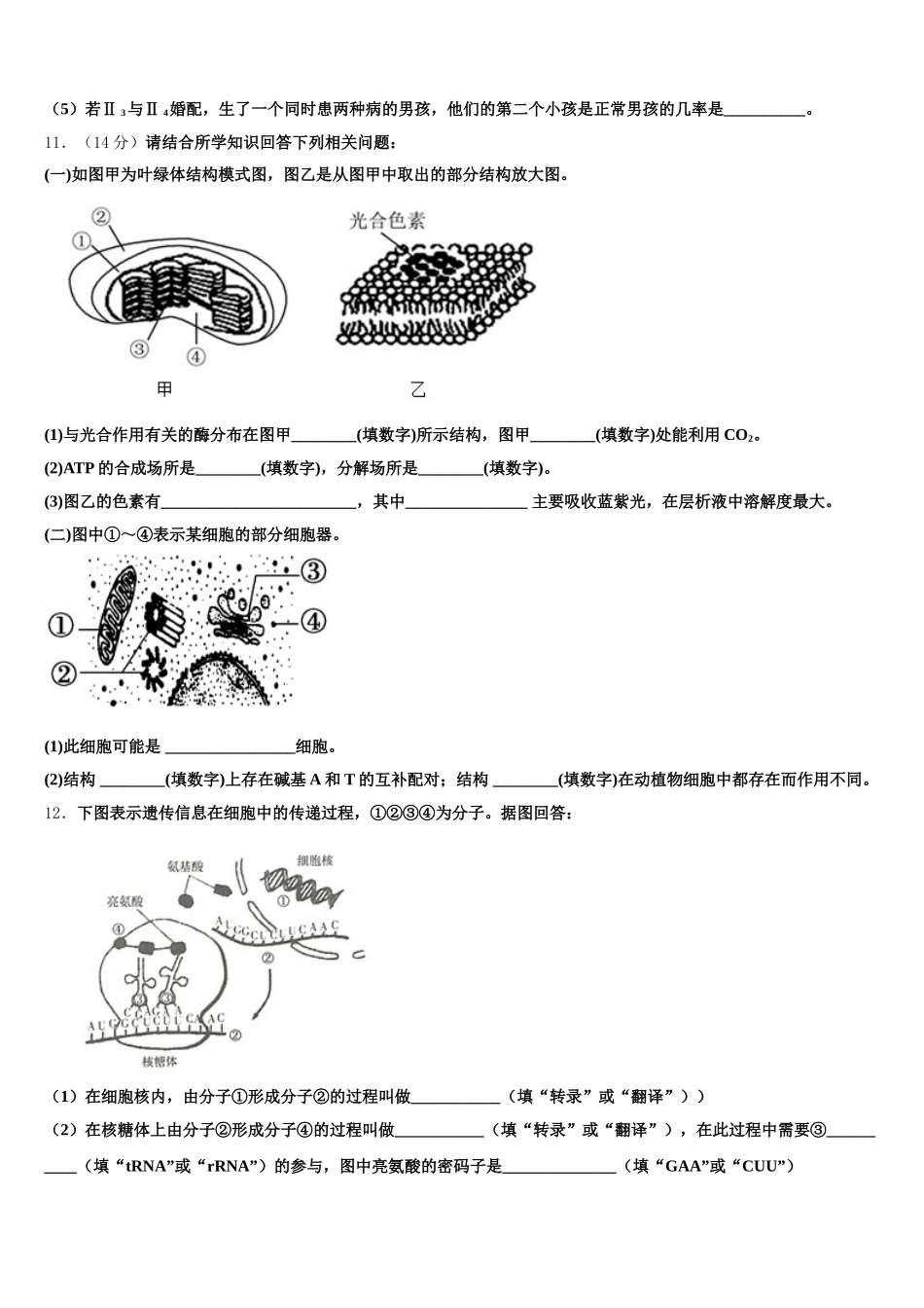 广东省潮州市潮安区颜锡祺中学2025年高一生物第二学期期末统考试题含解析_第3页
