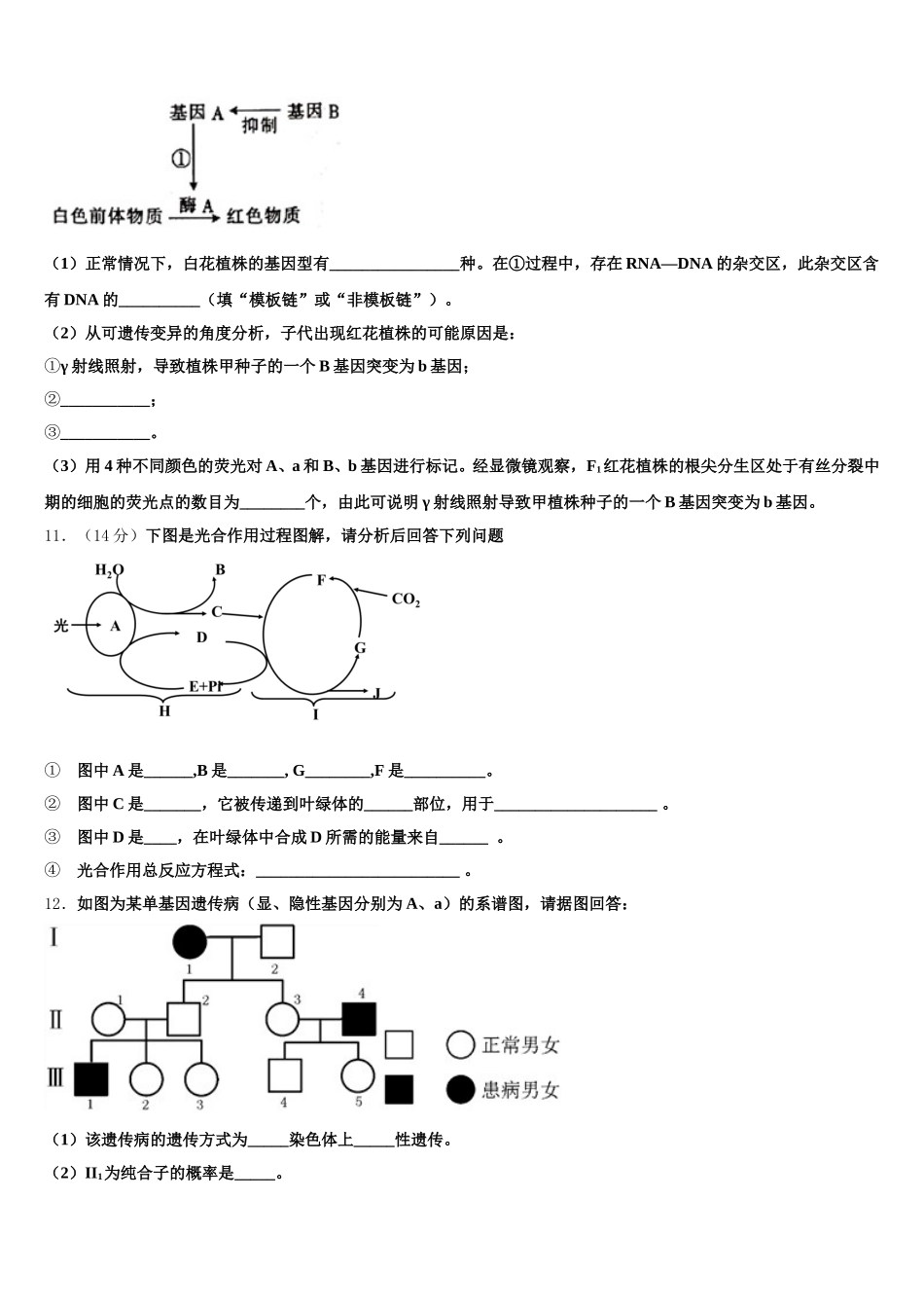广东省广州市实验中学2025届高一下生物期末质量跟踪监视模拟试题含解析_第3页