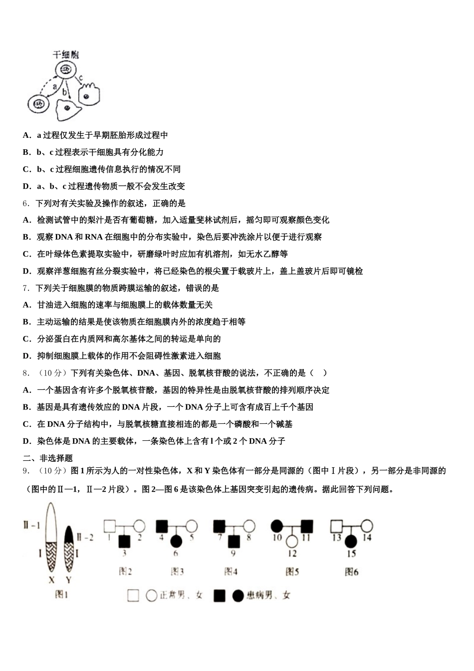 2025届广东省惠东县惠东高级中学高一下生物期末统考试题含解析_第2页