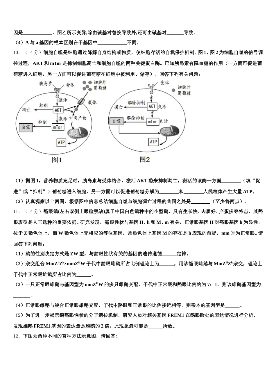 2024-2025学年深圳市重点中学生物高一第二学期期末检测模拟试题含解析_第3页