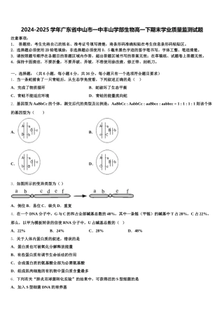 2024-2025学年广东省中山市一中丰山学部生物高一下期末学业质量监测试题含解析
