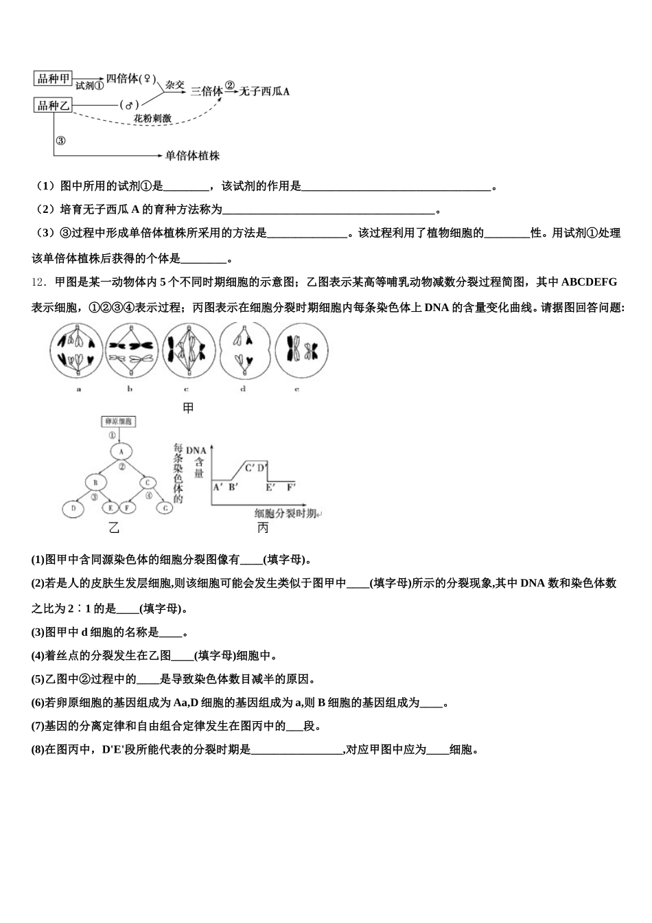 黑龙江省鸡西市鸡东县二中2025届高一生物第二学期期末学业质量监测模拟试题含解析_第3页