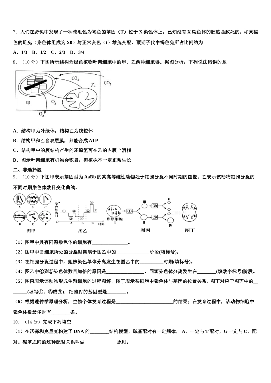 黑龙江省黑河市通北一中2024-2025学年生物高一下期末学业质量监测试题含解析_第3页