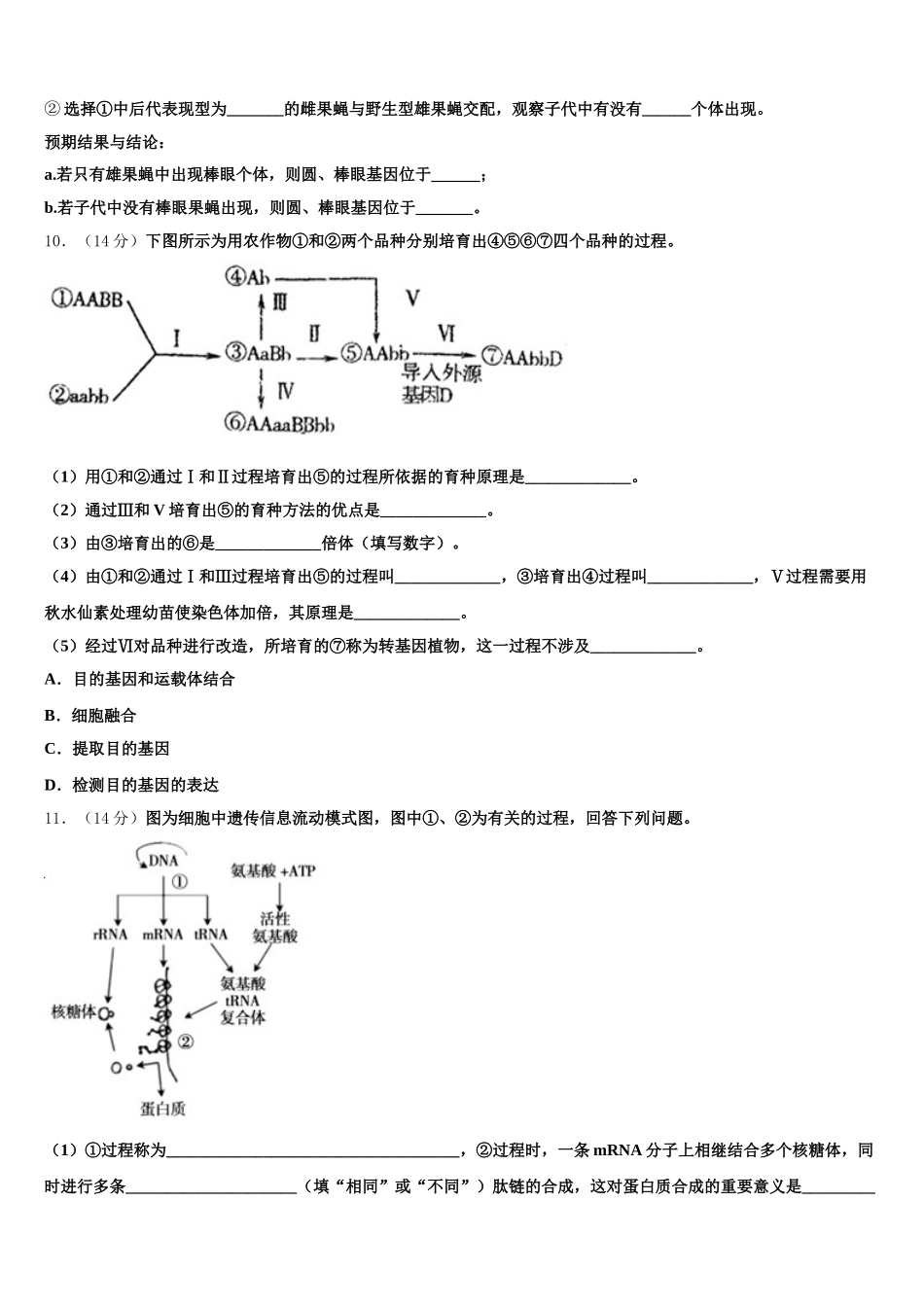 黑龙江省大庆十中2025届生物高一下期末教学质量检测试题含解析_第3页