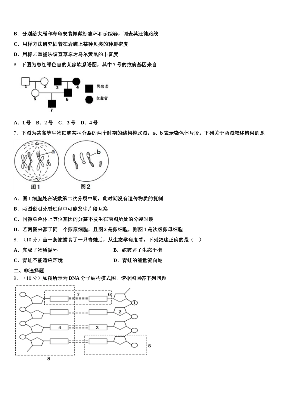 黑龙江伊春市第二中学2024-2025学年高一下生物期末质量检测模拟试题含解析_第2页