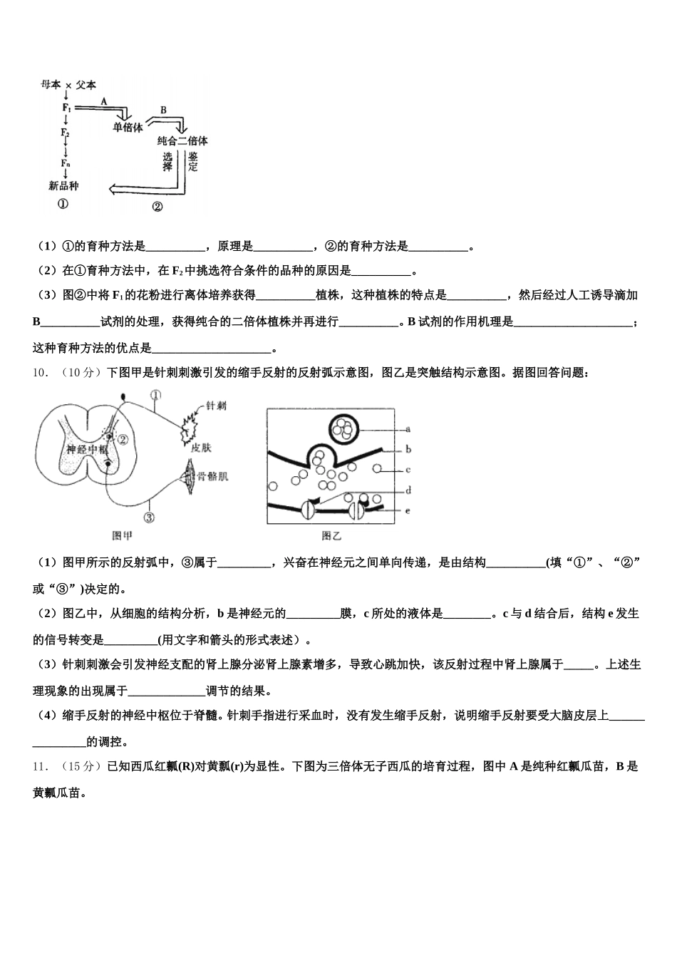 2025届大庆铁人中学生物高一第二学期期末达标检测试题含解析_第3页