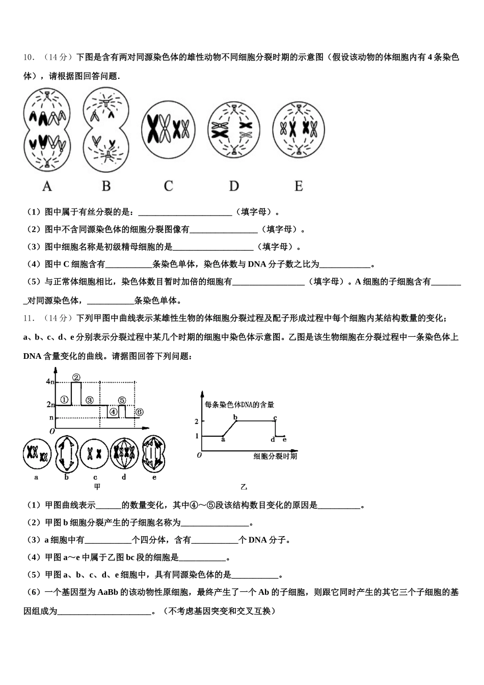 2025届绥化市重点中学生物高一下期末质量跟踪监视试题含解析_第3页