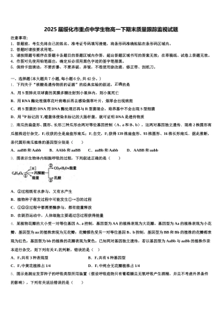 2025届绥化市重点中学生物高一下期末质量跟踪监视试题含解析