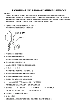 黑龙江省鹤岗一中2025届生物高一第二学期期末学业水平测试试题含解析