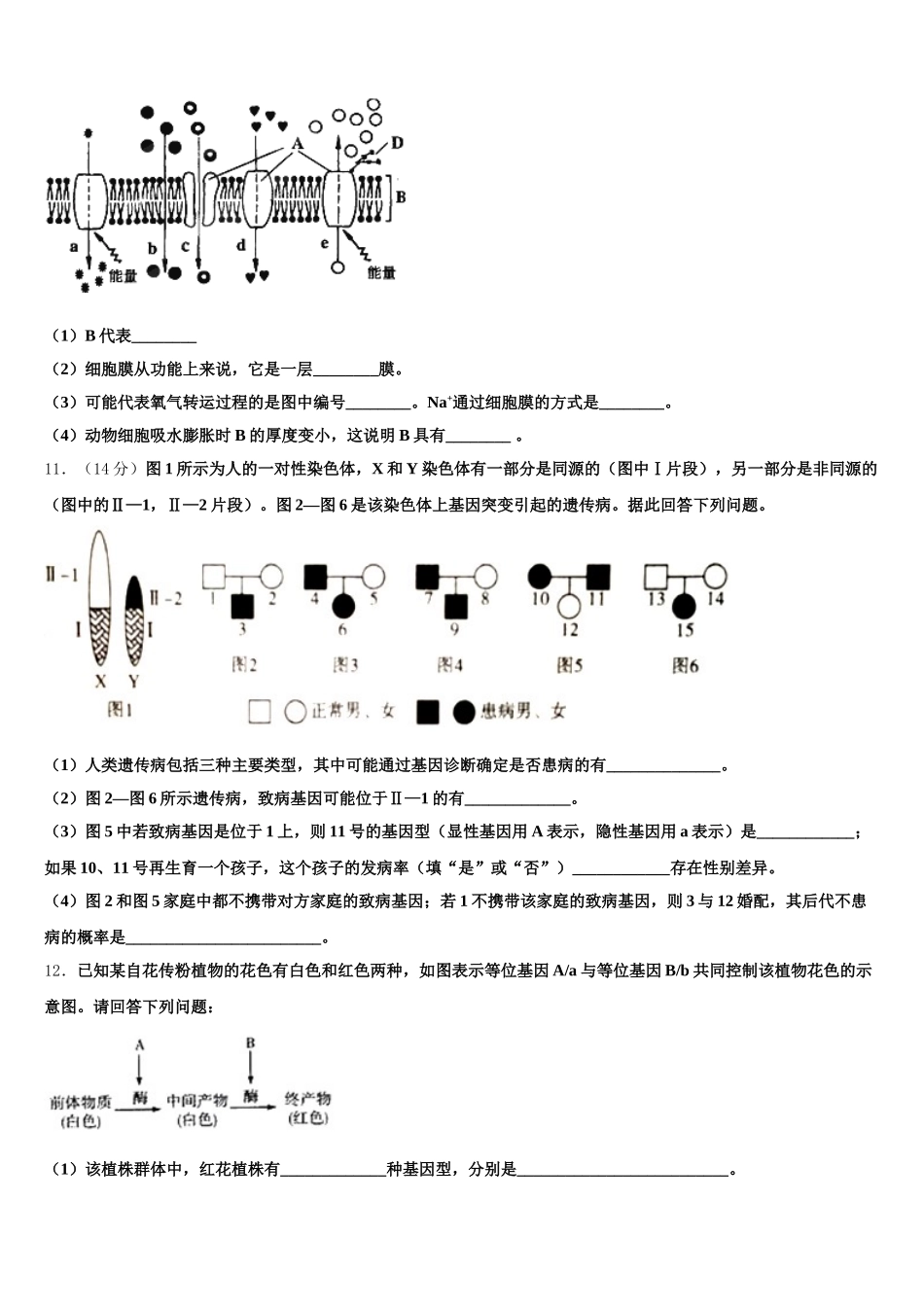 2024-2025学年黑龙江省安达市高级中学生物高一第二学期期末质量检测模拟试题含解析_第3页