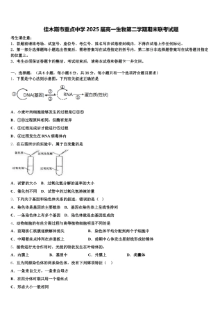 佳木斯市重点中学2025届高一生物第二学期期末联考试题含解析