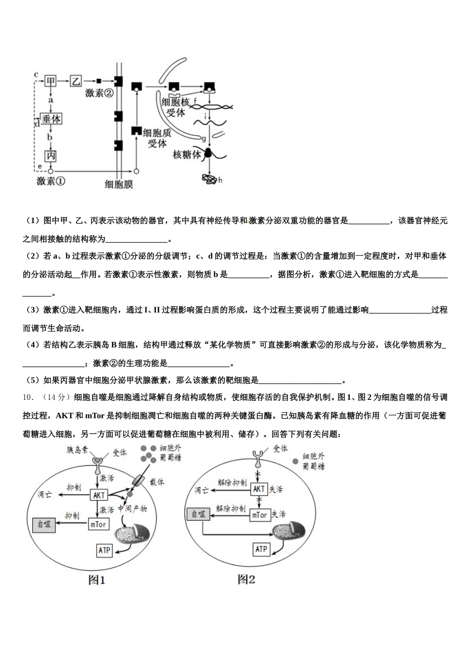 2025届黑龙江省哈尔滨师范大学青冈实验中学校高一下生物期末教学质量检测试题含解析_第3页