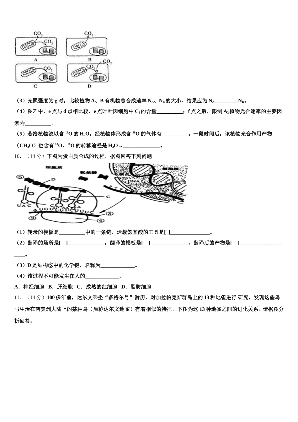 2025年黑龙江哈尔滨市省实验中学高一下生物期末经典试题含解析_第3页
