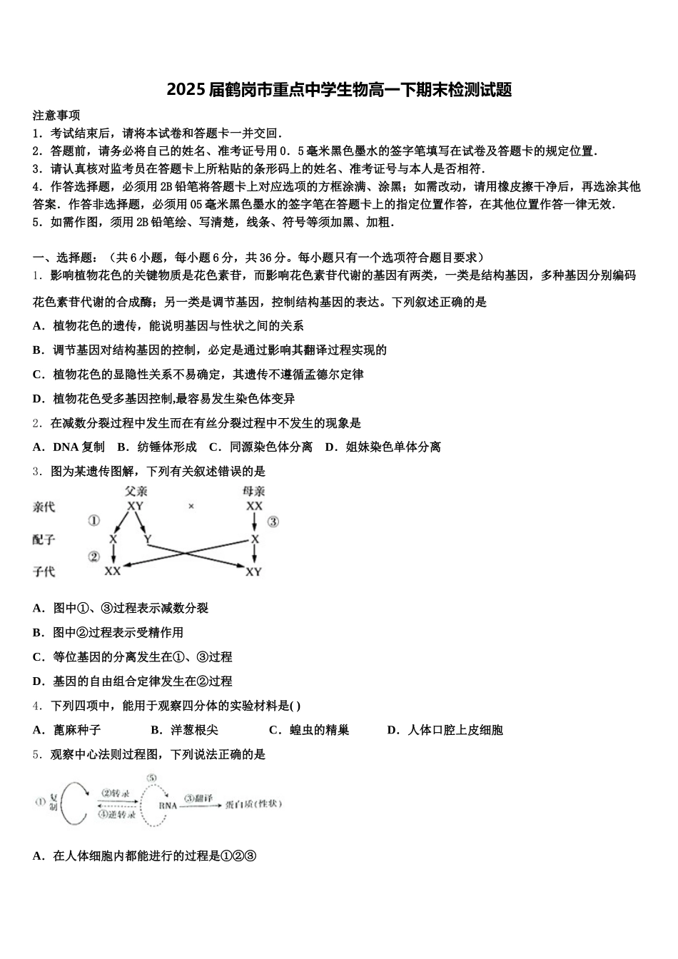 2025届鹤岗市重点中学生物高一下期末检测试题含解析_第1页