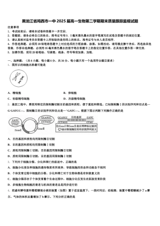 黑龙江省鸡西市一中2025届高一生物第二学期期末质量跟踪监视试题含解析