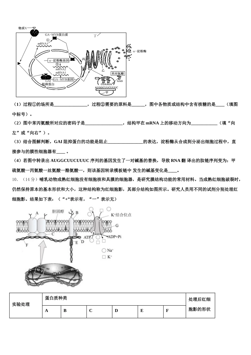 黑龙江省东南联合体2024-2025学年高一下生物期末联考试题含解析_第3页