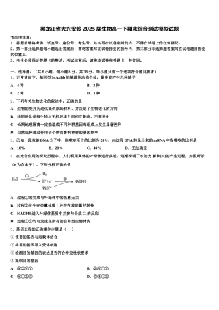 黑龙江省大兴安岭2025届生物高一下期末综合测试模拟试题含解析