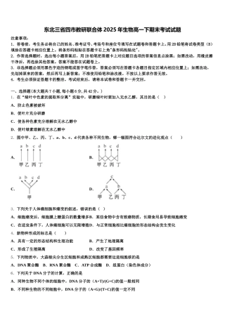 东北三省四市教研联合体2025年生物高一下期末考试试题含解析