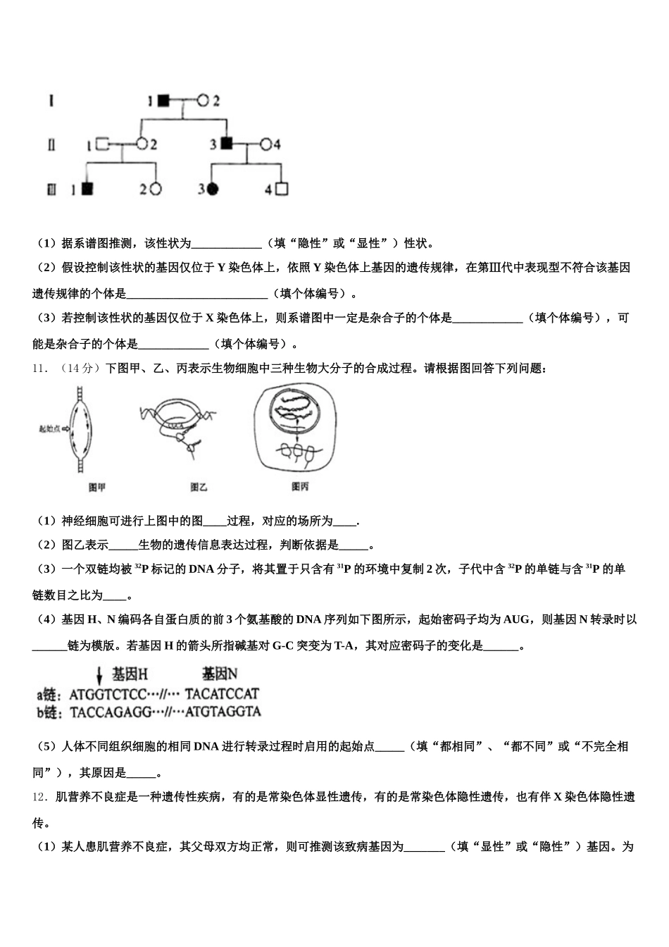 黑龙江省佳木斯市建三江一中2025年高一生物第二学期期末综合测试试题含解析_第3页
