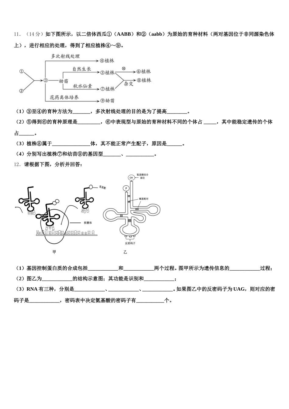 2025届黑龙江省大庆市大庆实验中学生物高一第二学期期末达标检测模拟试题含解析_第3页