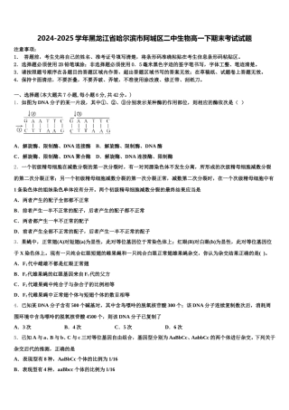 2024-2025学年黑龙江省哈尔滨市阿城区二中生物高一下期末考试试题含解析