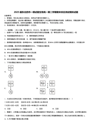 2025届东北四市一模试题生物高一第二学期期末综合测试模拟试题含解析