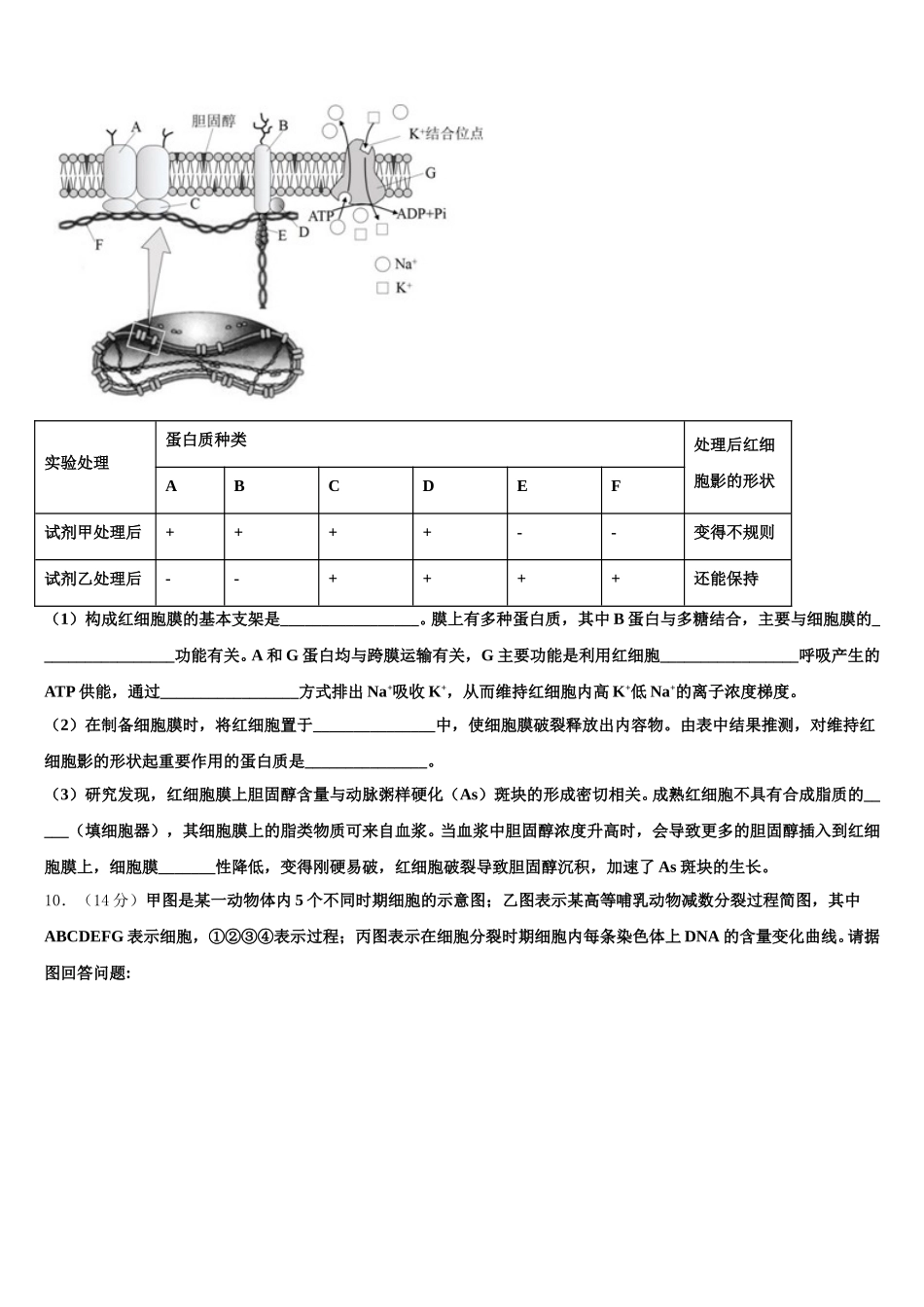 2024-2025学年黑龙江省大兴安岭漠河县一中高一下生物期末质量跟踪监视模拟试题含解析_第3页