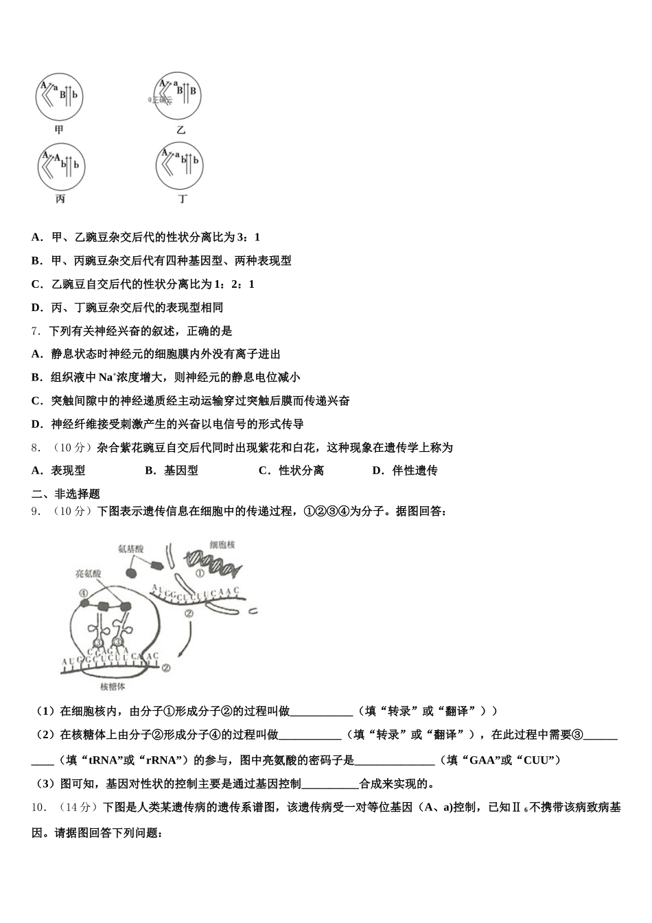 2025年黑龙江省鹤岗一中高一下生物期末综合测试模拟试题含解析_第2页