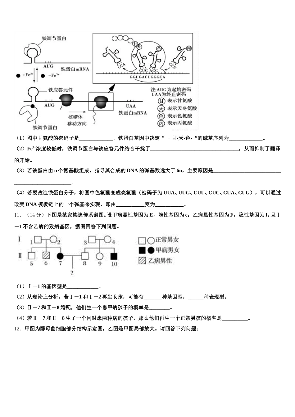 2025届黑龙江省哈三中生物高一下期末达标检测模拟试题含解析_第3页