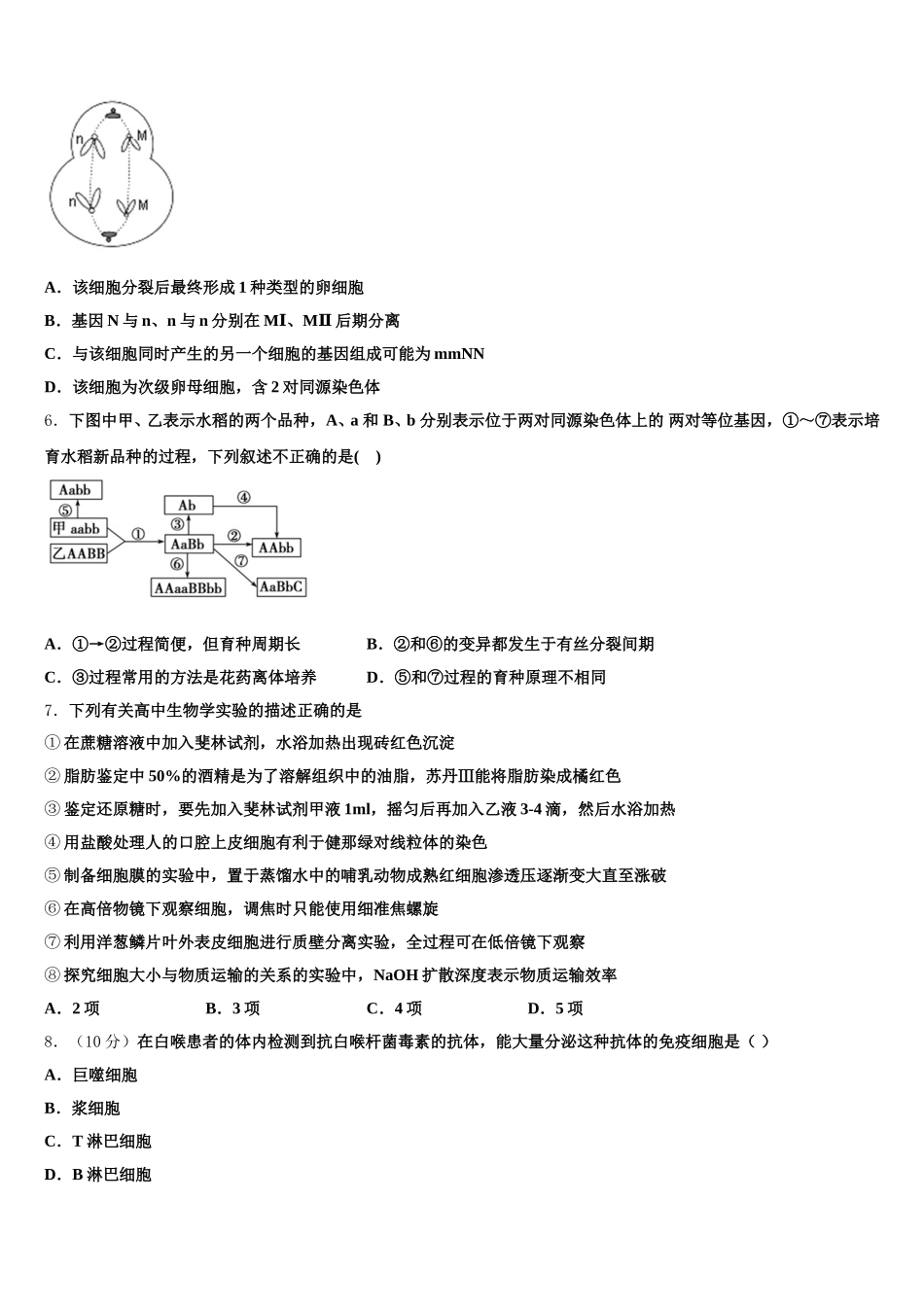 2025届黑龙江省大庆市东风中学高一生物第二学期期末学业水平测试试题含解析_第2页