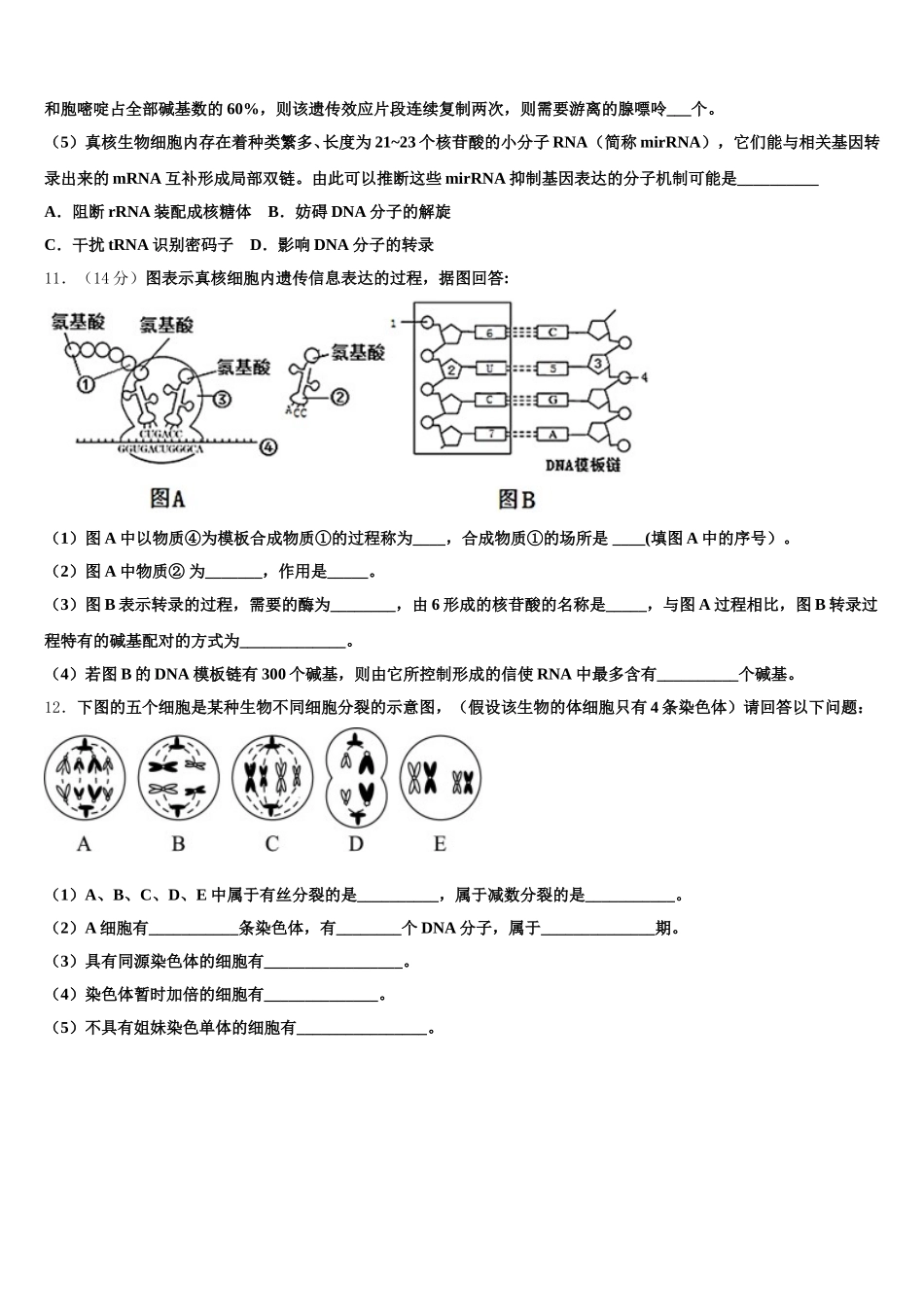 2025年黑龙江省鸡西市鸡东县第二中学生物高一下期末统考模拟试题含解析_第3页
