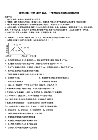 黑龙江龙江二中2025年高一下生物期末质量检测模拟试题含解析
