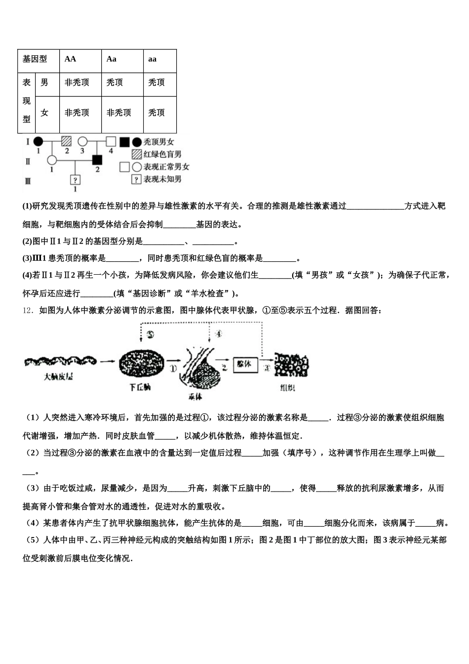 黑龙江省富锦第一中学2025年高一生物第二学期期末复习检测模拟试题含解析_第3页