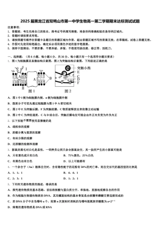 2025届黑龙江省双鸭山市第一中学生物高一第二学期期末达标测试试题含解析