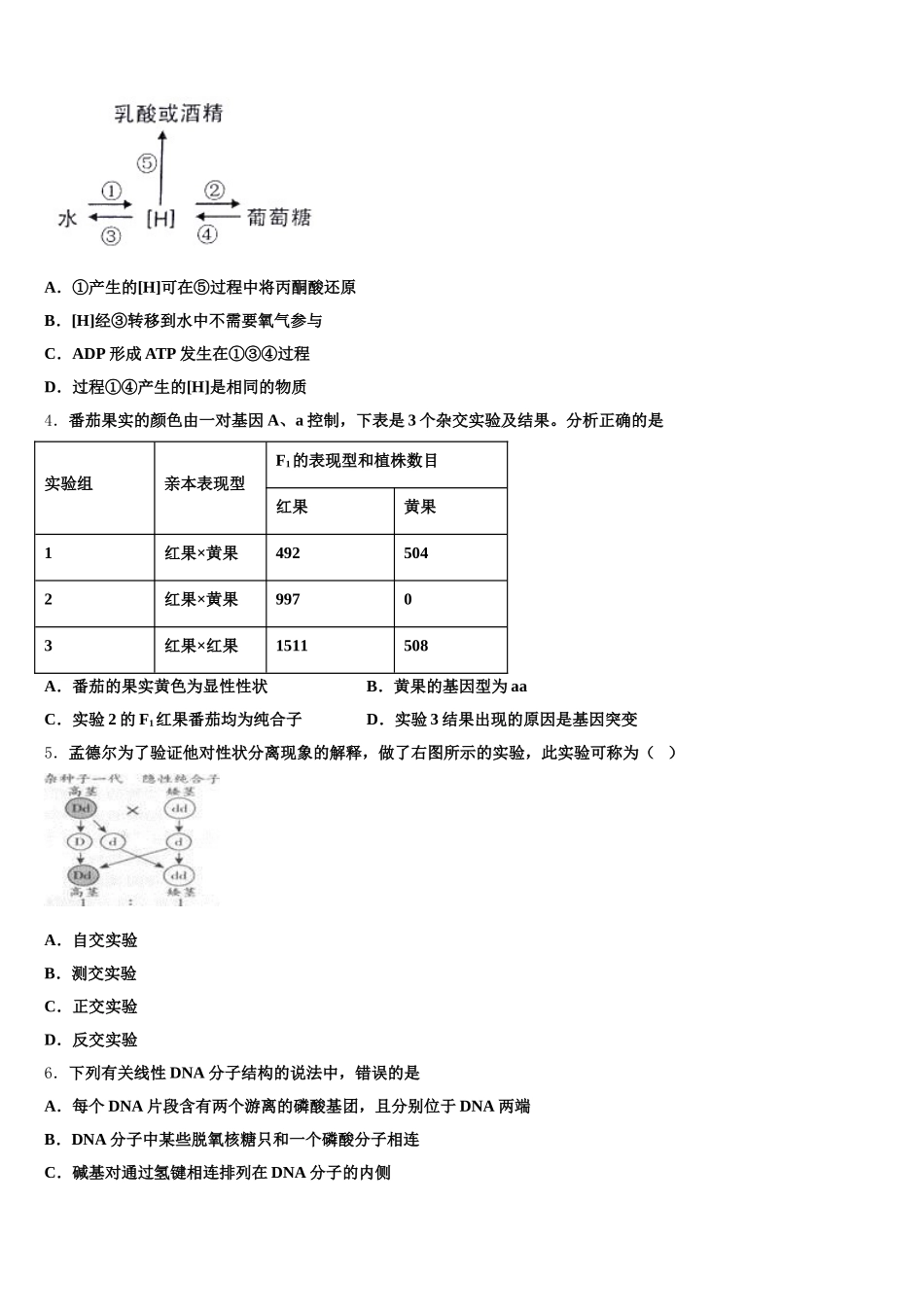 黑龙江省哈尔滨市呼兰一中、阿城二中、宾县三中、尚志五中四校2025届生物高一下期末教学质量检测试题含解析_第2页