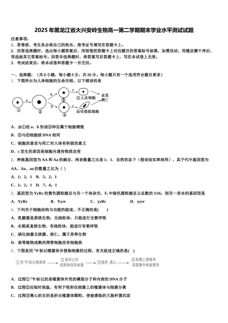 2025年黑龙江省大兴安岭生物高一第二学期期末学业水平测试试题含解析_第1页