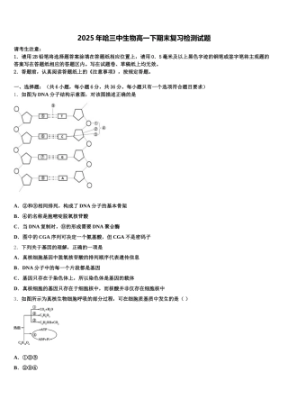 2025年哈三中生物高一下期末复习检测试题含解析
