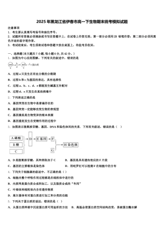 2025年黑龙江省伊春市高一下生物期末统考模拟试题含解析