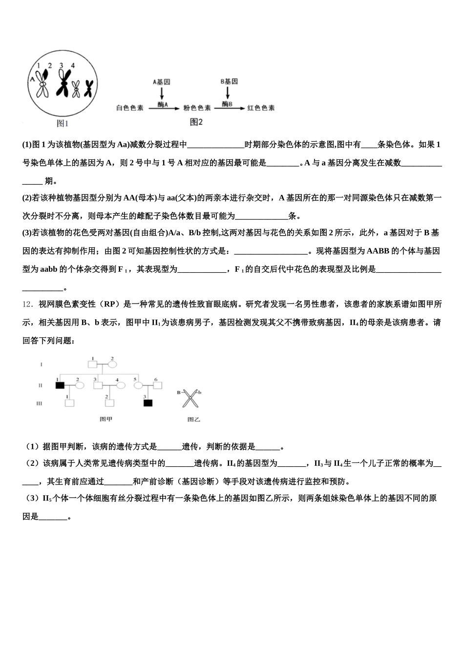 黑龙江绥化市第一中学2025年生物高一第二学期期末达标测试试题含解析_第3页
