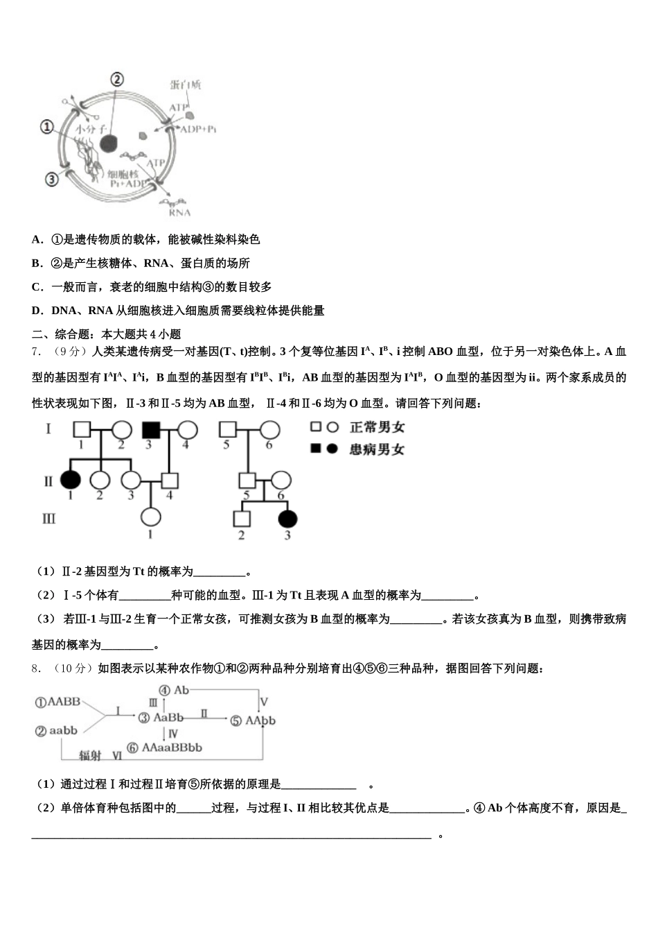 黑龙江省青冈县一中2025届高一生物第二学期期末教学质量检测模拟试题含解析_第2页