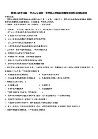黑龙江省青冈县一中2025届高一生物第二学期期末教学质量检测模拟试题含解析