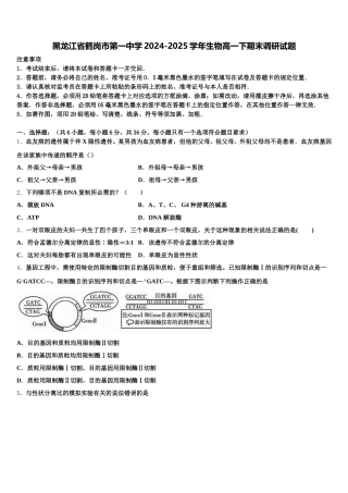 黑龙江省鹤岗市第一中学2024-2025学年生物高一下期末调研试题含解析