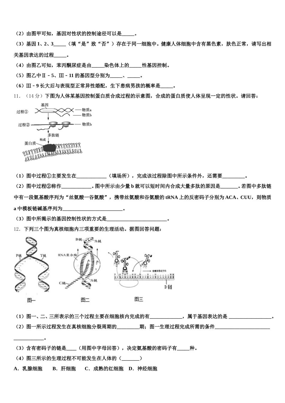 2024-2025学年黑龙江省五常市雅臣中学生物高一第二学期期末联考模拟试题含解析_第3页