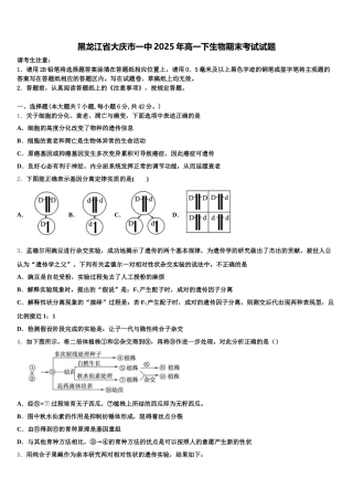 黑龙江省大庆市一中2025年高一下生物期末考试试题含解析