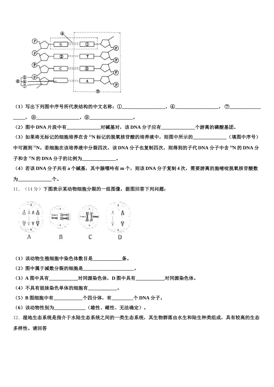 黑龙江省农垦建三江管理局第一中学2025届高一下生物期末达标检测试题含解析_第3页