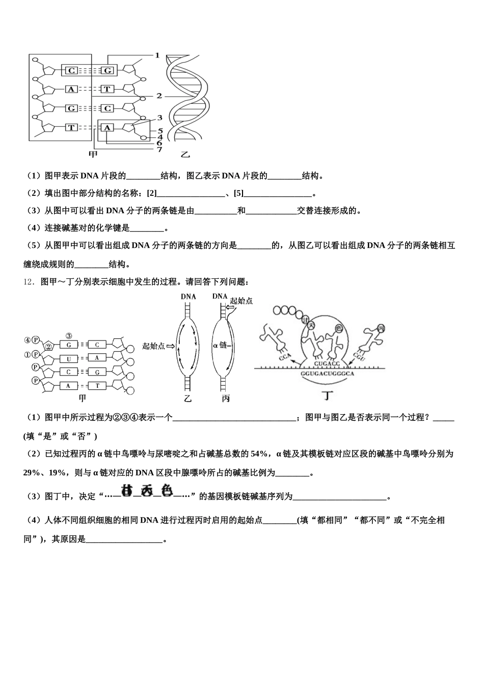 2025届黑龙江绥化市第一中学高一下生物期末质量检测模拟试题含解析_第3页