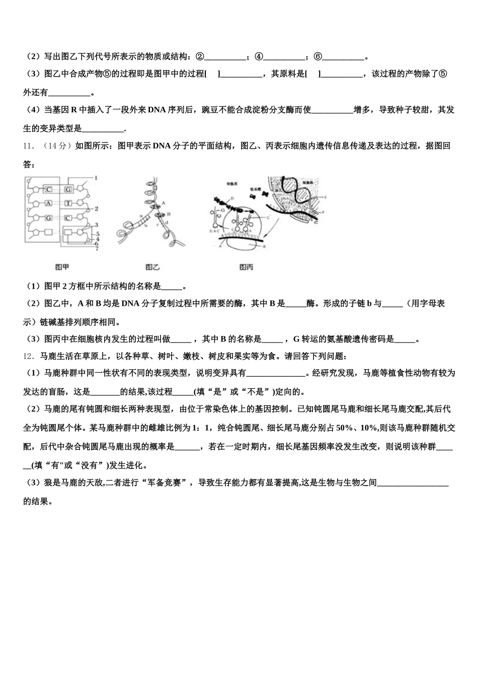 2025届绥化市重点中学高一下生物期末联考模拟试题含解析_第3页